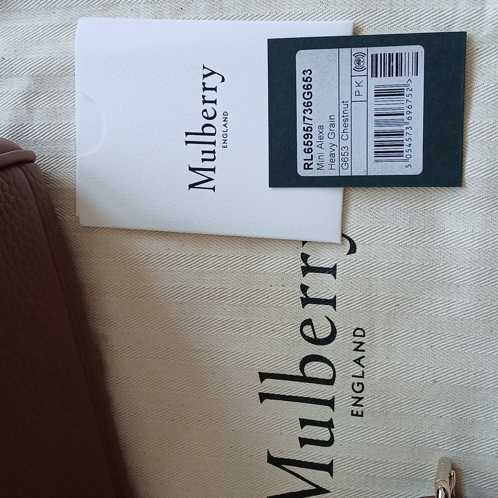 Mulberry Mini Alexa Heavy Grain - Picture 11 of 11